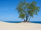 dune with view of lake superior 