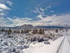 snow covered landscape