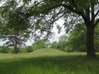 park vista with mound in distance