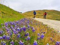 cyclists on a trail