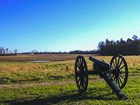 cannon in field