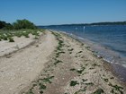 beach and harbor