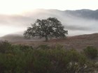 valley fog