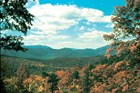 Fall foliage in Great Smoky Mountains National Park