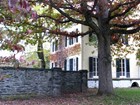 house and tree