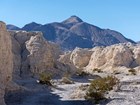desert landscape