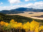 valley and fall trees