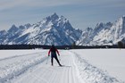 Park visitor skiing in Teton Park, Grand Teton NP