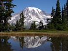 Mount Rainier reflected in a lake, Mount Rainier NP