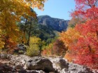 Fall colors in McKittrick Canyon