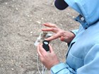 person examining sand grains