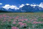 Red Eagle Mountain