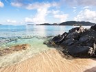 tropical beach