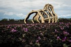 Lava tube sculpture and flowers