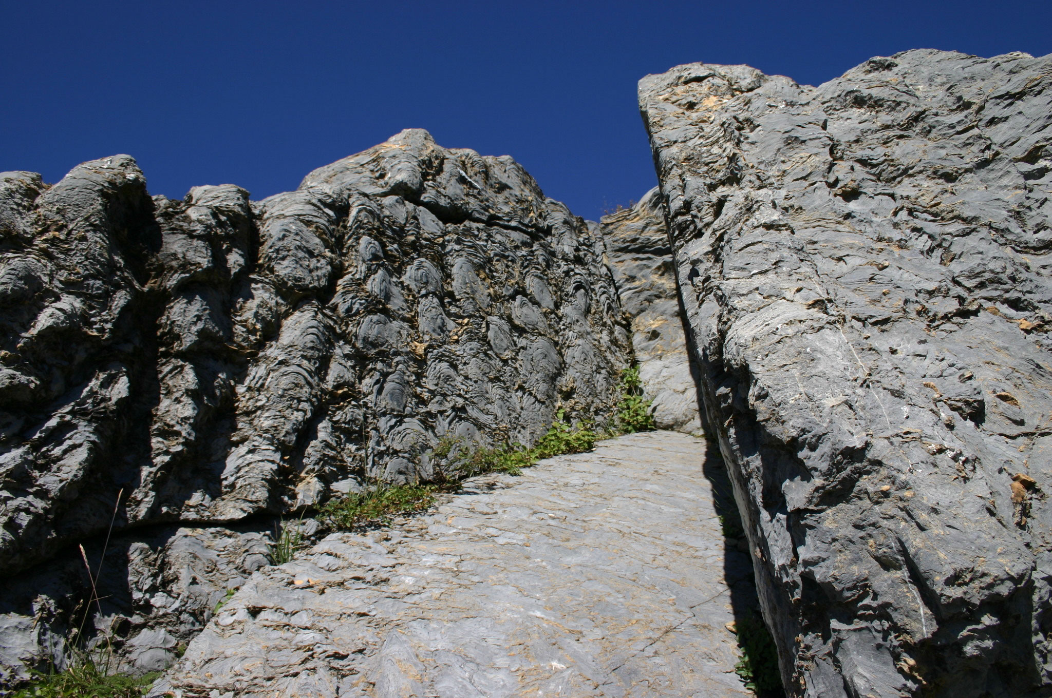 The Stromatolites of Glacier National Park