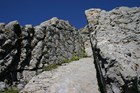 Siyeh Formation bioherm located along the Highline Trail  