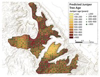 Topo map showing green dots and brown gradient representing areas of different tree age.
