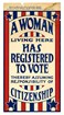Grand Rapids Americanization Society, c. 1924, from the National Museum of American History