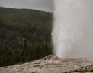 Geyser erupting in the Upper Geyser Basin.