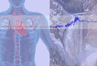 Illustration of the vital signs concept.