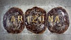 Three pieces of petrified wood engraved with 