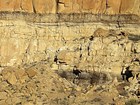 Sandstone Cliffs