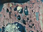 aerial view of coastal surface geology in alaska