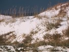 sand dunes