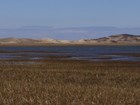 salt marsh grass and open water with dunes in background