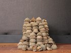 Model of Devils Tower made out of acorn caps with black background
