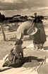 Women Winnowing Wheat, San Juan Pueblo, New Mexico,1925-1945. 