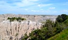 a grove of junipers lead down into badlands formations which continue into the horizon.