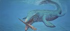 a marine reptile swims through water and closes its jaws around a long, shelled squidlike creature.