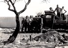 men with truck and olive tree in courtyard garden
