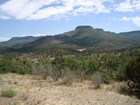 A distant mesa covered with small shrubs and pine trees.