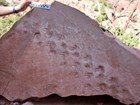 fossil tracks on sandstone slab