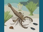 2013 NFD artwork poster featuring Paleozoic marine invertebrates