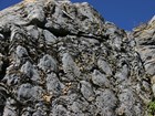 fossil stromatolites in a cliff face
