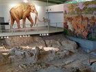 fossil bone bed and murals of mammoths