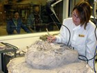 a person in a lab coat working on a fossil