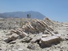 fossils and rocks on the ground with two people and a mountain in the distance
