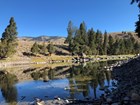Shallow, rocky river lined by evergreen trees