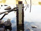 A measuring staff with increments from 1 to 3.3 mounted in a river.