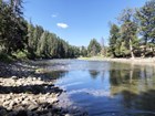Shallow river lined with evergreen trees