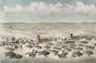 An illustration of a group of covered wagons and American Indians on horseback.