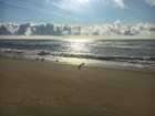 Gulls walk on the sand as waves crash below blue skies with puffy white clouds.