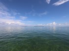 The seagrass-covered bottom of Florida Bay can be seen through clear, turquoise waters.