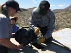 Two people in National Park Servie uniforms lowering a cable into a well.