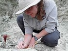 Person kneeling in fossil quarry working with small tools to remove rock matrix from a fossil.