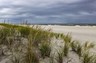 dark stormy clouds above waves crashing on a beach with green dune grass.